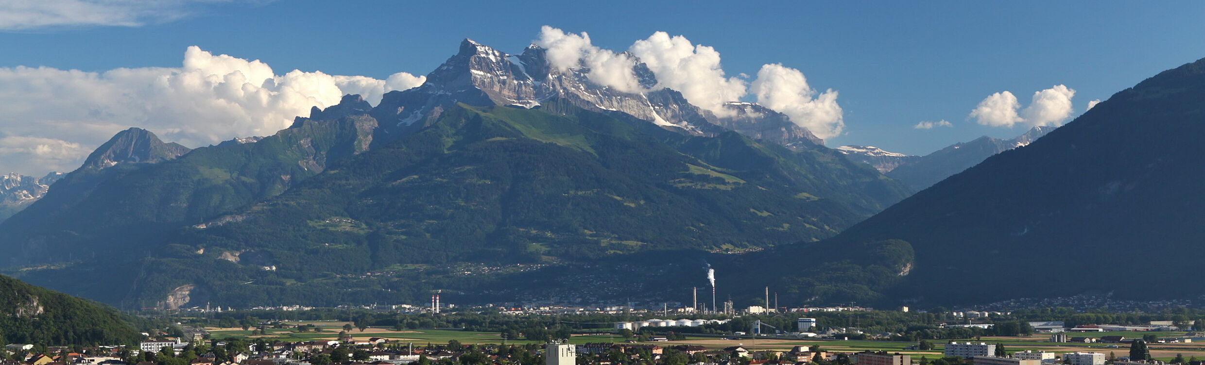 Aigle_photo_redimensionner.jpg